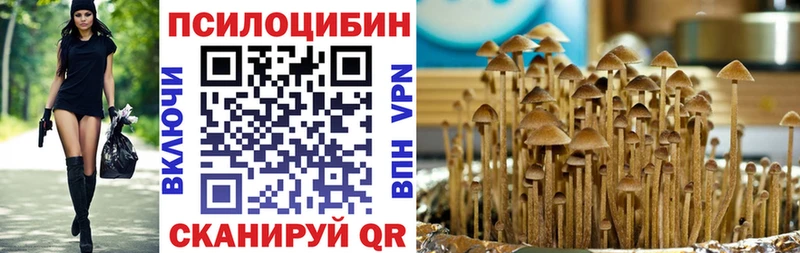 Псилоцибиновые грибы Psilocybe Краснотурьинск