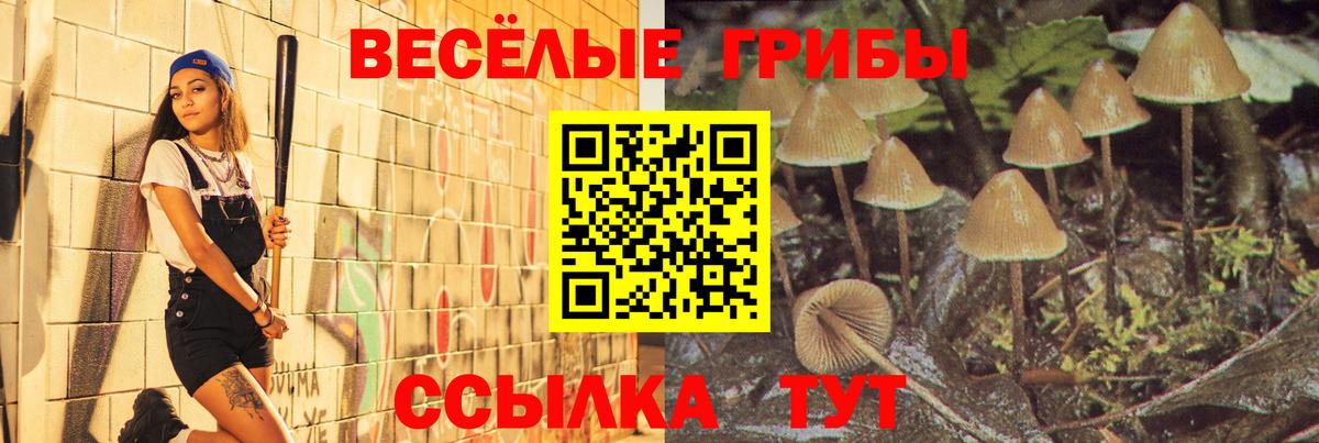 Краснотурьинск  Псилоцибиновые грибы Psilocybine cubensis  Вход с VPN 