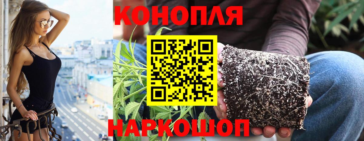Каннабис AK-47  Каннабис OG Kush  Конопля семена  Бошки марихуана семена  Вход с VPN  Краснотурьинск 